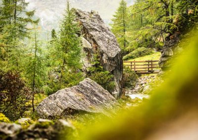 Osttirol, Landschaft, Nationalpark Hohe Tauern, Nationalpark, Austria, Österreich, Wasser, Berge, Natur, Naturfotografie, Wildtiere