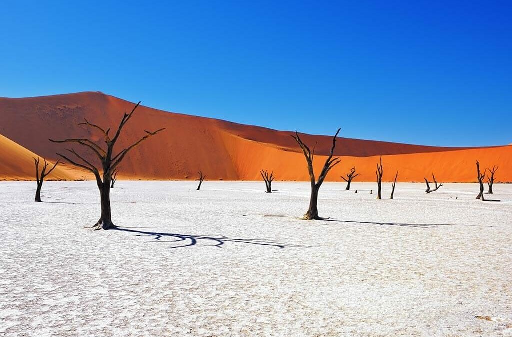 Namibia – ein fotografischer Traum