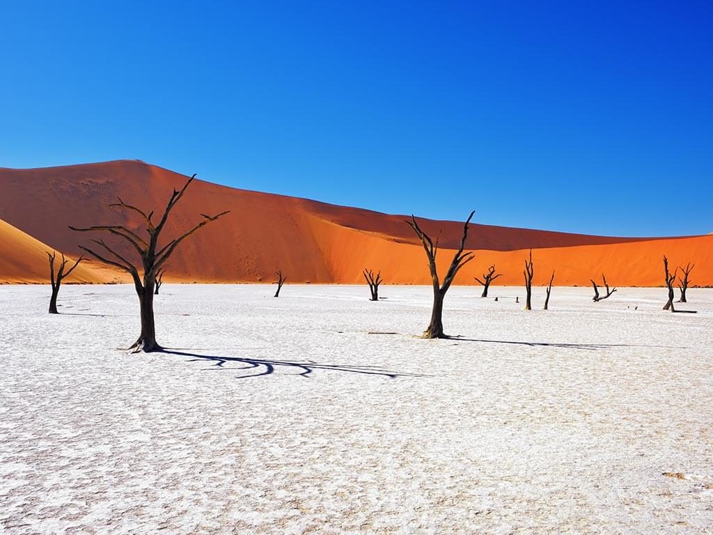 Namibia, Fotoreisen, Life Earth, Philipp Jakesch Photography, Fotoreisen, Fotoworkshops, Touren, Tours, Afrika, Dünen, Wüste, Sossusvlei