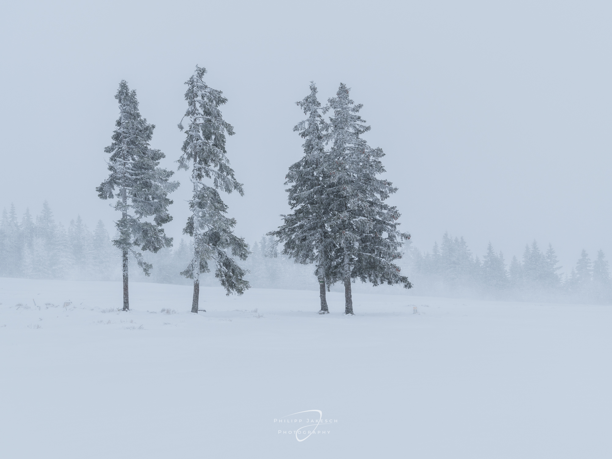 Winterland, Philipp Jakesch Photography, Steiermark im weißen Kleid, der Winter ist da