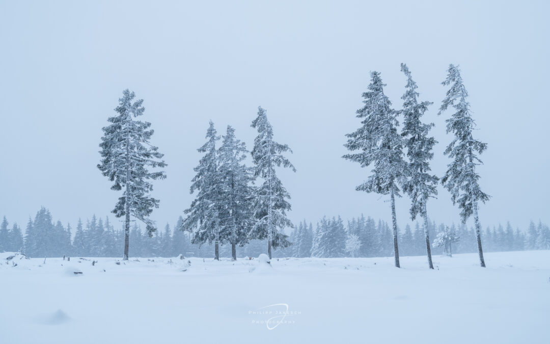 Winterland, Philipp Jakesch Photography, Steiermark im weißen Kleid